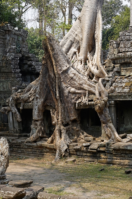 Preah Khan-043